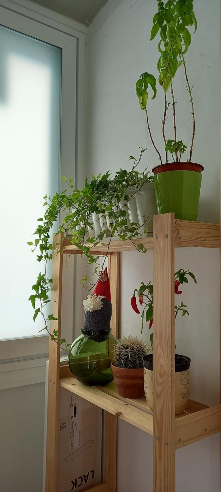Apartmán Lotus Bari Exteriér fotografie